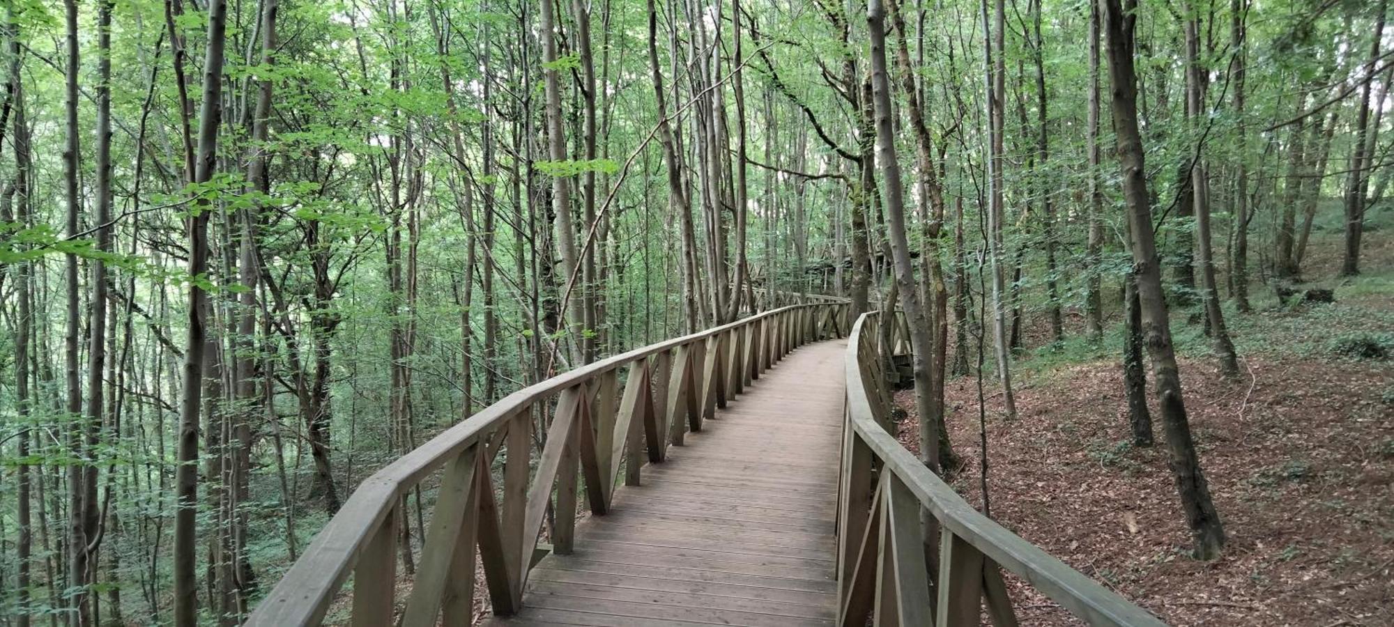 El Mirador De La Hayuela, A 7 Min De Comillas Εξωτερικό φωτογραφία